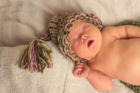 ashlyn8152