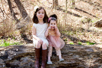 spinneweber1932
