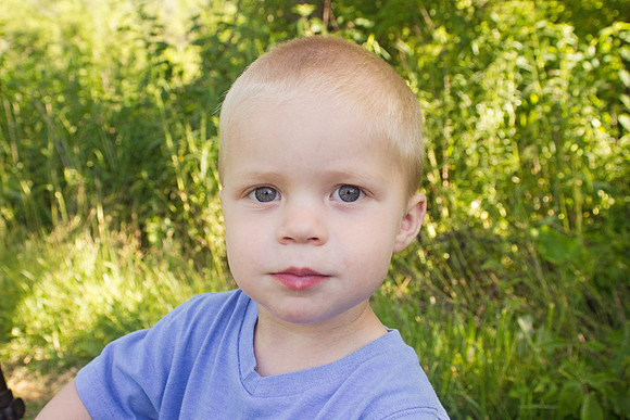 ammon3006