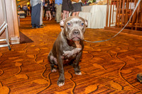 IMG_1284