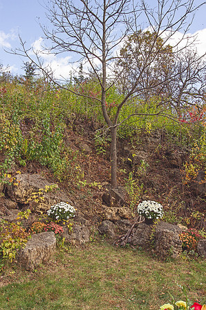 IMG_0209-Edit