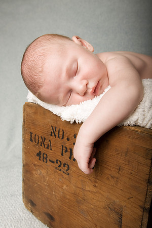 logan6585