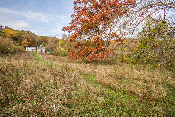 IMG_5503